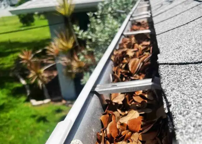 Leland gutter cleaning home page